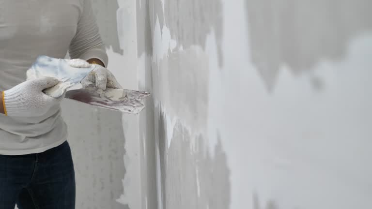 Professional Dry wall and painting in Flying Hills, PA